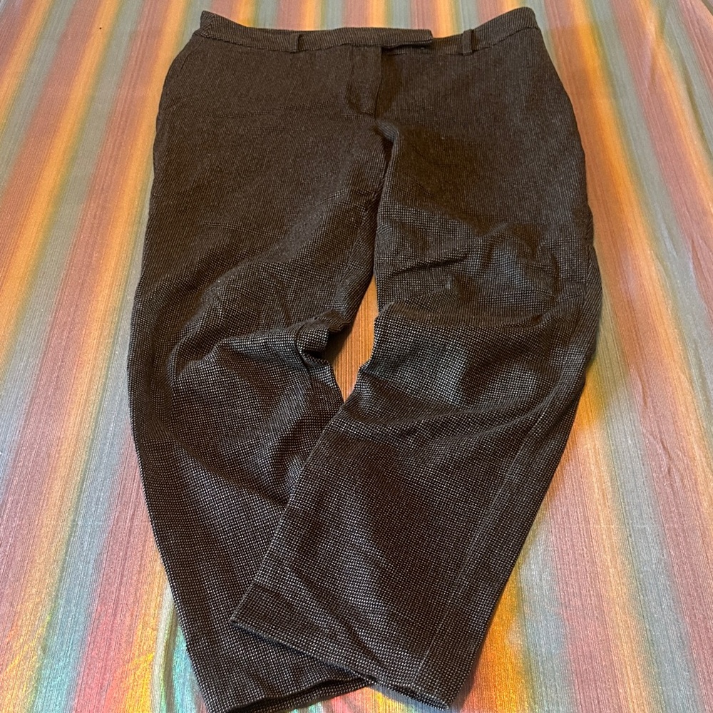 Talbots women’s dress pant